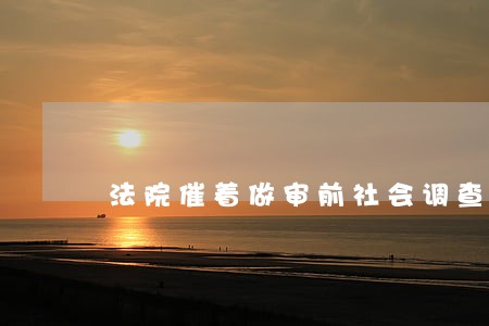 法院催着做审前社会调查 法院催着做审前社会调查
