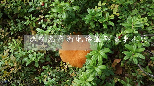 法院允许打电话通知当事人吗 法院允许打电话通知当事人吗
