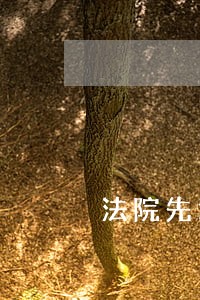 法院先进个人工作表现 法院先进个人工作表现