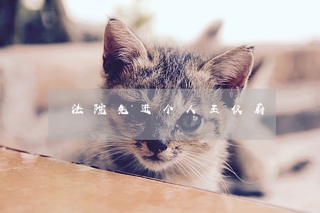 法院先进个人王仪蔚