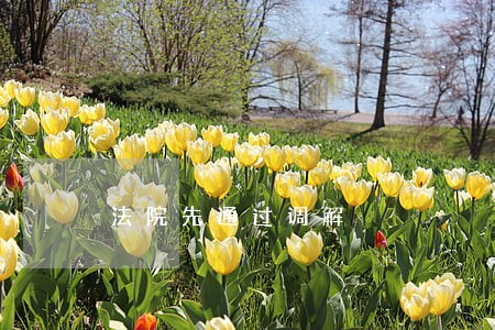 法院先通过调解 法院先通过调解