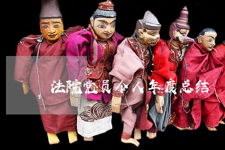 法院党员个人年度总结