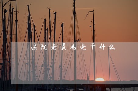 法院党员为党干什么 法院党员为党干什么