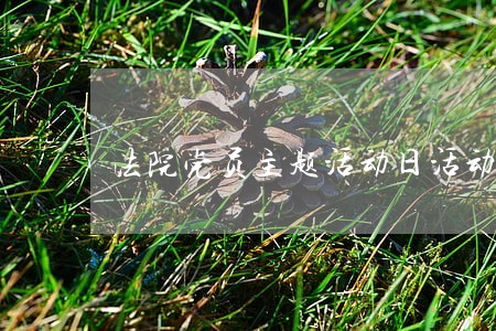 法院党员主题活动日活动总结 法院党员主题活动日活动总结