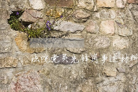 法院党员先锋岗事迹材料 法院党员先锋岗事迹材料