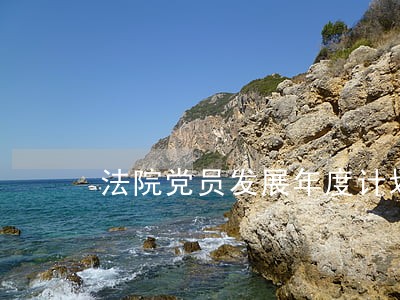 法院党员发展年度计划