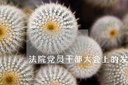 法院党员干部大会上的发言稿