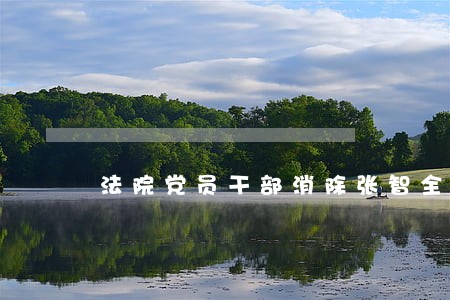法院党员干部消除张智全