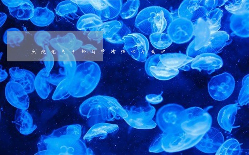法院党员干部自觉增强四个意识