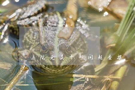 法院党员干部问题查摆 法院党员干部问题查摆