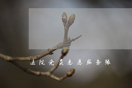 法院党员志愿服务队 法院党员志愿服务队