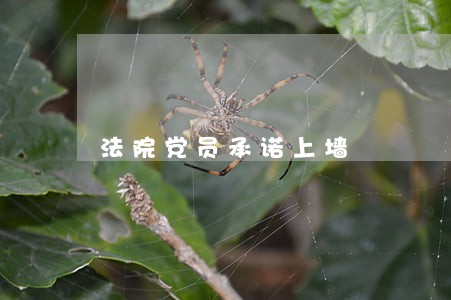 法院党员承诺上墙 法院党员承诺上墙