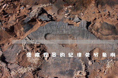 法院党员的纪律处分条例