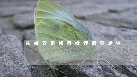 法院党员相互批评意见建议