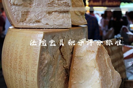法院党员积分评分标准