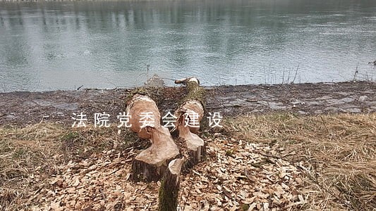 法院党委会建设 法院党委会建设