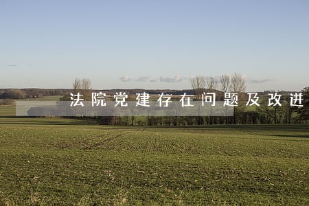 法院党建存在问题及改进措施 法院党建存在问题及改进措施