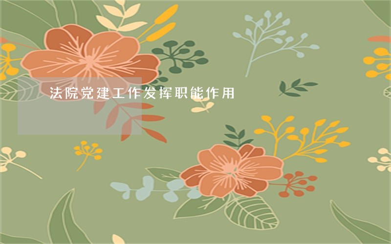 法院党建工作发挥职能作用
