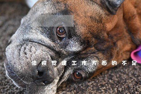 法院党建工作方面的不足 法院党建工作方面的不足