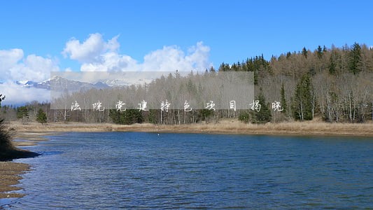 法院党建特色项目揭晓 法院党建特色项目揭晓