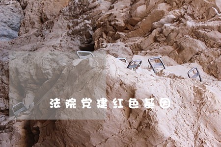 法院党建红色基因