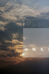 法院党性分析报告 法院党性分析报告
