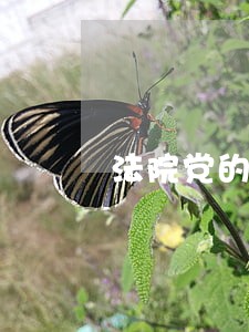 法院党的七一讲话 法院党的七一讲话