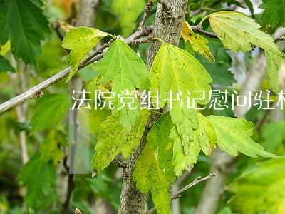 法院党组书记慰问驻村工作组 法院党组书记慰问驻村工作组