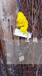 法院党组向县委汇报工作