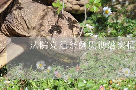 法院党组条例贯彻落实情况汇报 法院党组条例贯彻落实情况汇报