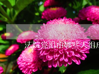 法院党组由哪些人组成 法院党组由哪些人组成