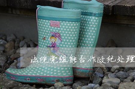 法院党组能否作政纪处理 法院党组能否作政纪处理