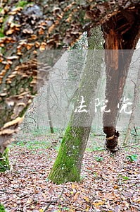 法院党组高度重视 法院党组高度重视