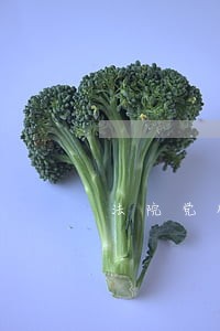 法院党风工作经验材料 法院党风工作经验材料