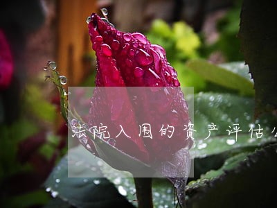 法院入围的资产评估公司 法院入围的资产评估公司