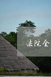 法院全体人员向宪法宣誓