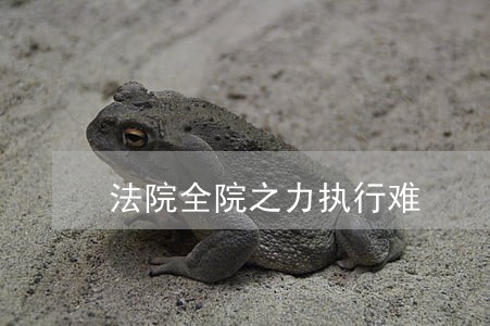 法院全院之力执行难 法院全院之力执行难