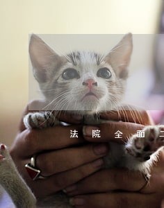 法院全面二孩 法院全面二孩