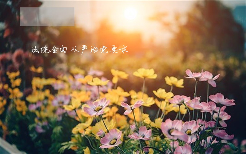 法院全面从严治党要求 法院全面从严治党要求