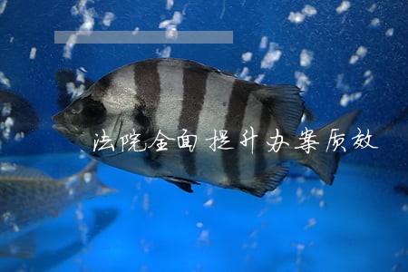 法院全面提升办案质效 法院全面提升办案质效