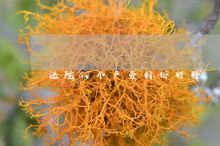 法院八个严查剖析材料 法院八个严查剖析材料