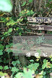 法院公众开放日方案 法院公众开放日方案