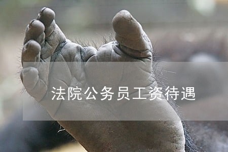 法院公务员工资待遇