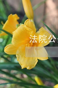 法院公务员每月工资到多少 法院公务员每月工资到多少