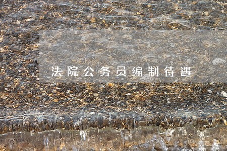 法院公务员编制待遇 法院公务员编制待遇