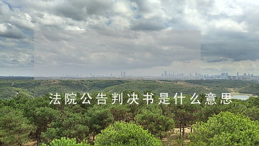 法院公告判决书是什么意思 法院公告判决书是什么意思