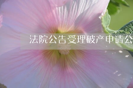 法院公告受理破产申请公告查询 法院公告受理破产申请公告查询