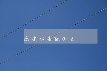 法院公告张必文 法院公告张必文