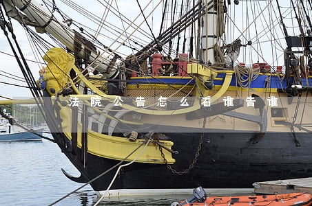 法院公告怎么看谁告谁
