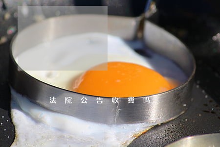 法院公告收费吗 法院公告收费吗